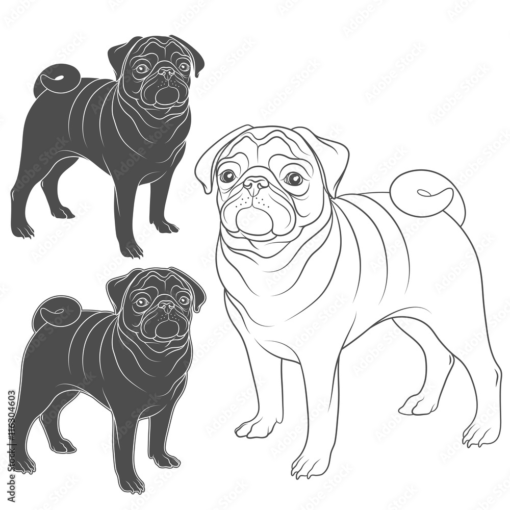 Aufkleber set of vector images of pug. isolated objects on a white background.