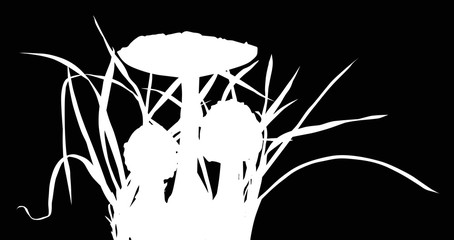 thee fly agarics in grass isolated on black