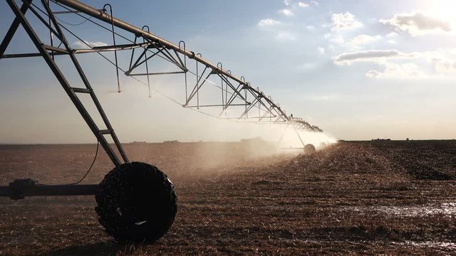 Automated agricultural center pivot irrigation system with drop sprinklers in harvested wheat stubble field