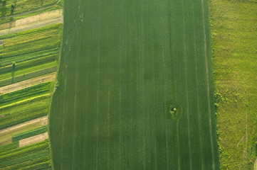 Aerial view on green and yellow parts of fields and countryside