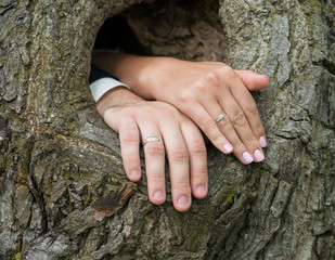 wedding rings on the hands of newly-married couple