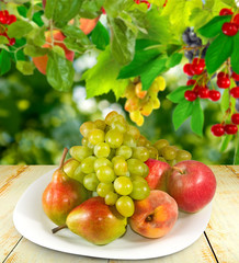 Naklejka na ściany i meble Image of ripe fruits close-up