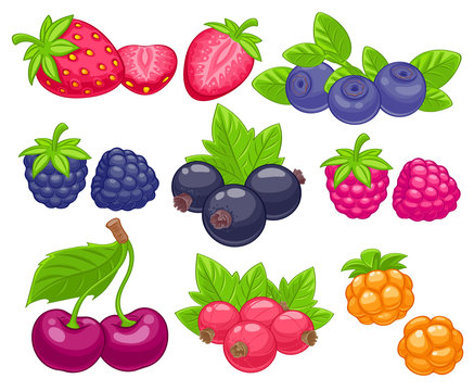 Assorted Berries Set Vector Illustration.