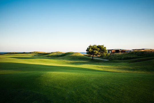 Beautiful golf course with green tree and sea in the background at sunset