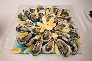 oysters on the table ready for use