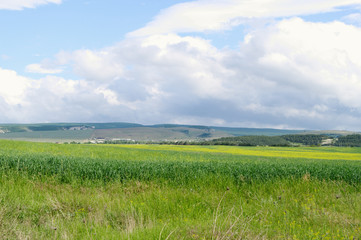 Fototapeta premium Spring green blooming fields at Bakhchisaray, Crimea