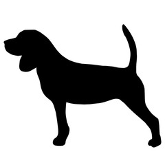 High quality silhouette of beagle isolated on white background