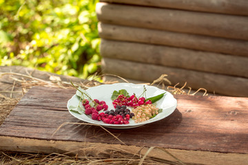 wild berries on plate