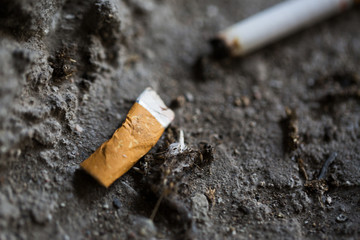 close up of smoked cigarette butt on ground