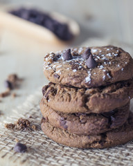 chocolate chip cookie