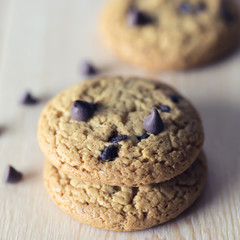 chocolate chip cookie