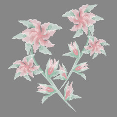 Vector composition watercolor flowers
Vector illustration of pink flowers and a bud with green leaf water color on a dark gray background
