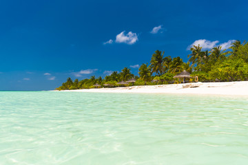 Beautiful tropical beach with palm trees, white sand, turquoise ocean water and blue sky at Kuredu, Maldives