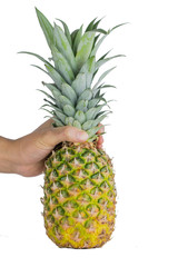 Fresh whole pineapple.