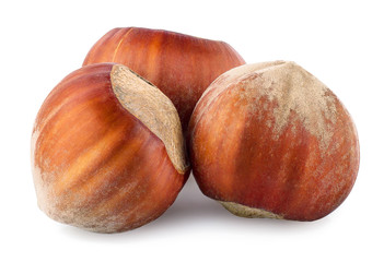Three hazelnuts isolated on white background