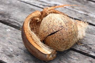 coconut shell