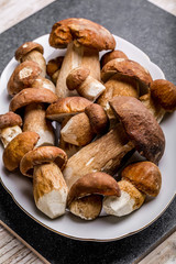 Boletus edulis (king bolete) on a white plate