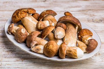 Boletus edulis (king bolete) on a white plate