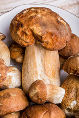 Boletus edulis (king bolete) on a white plate