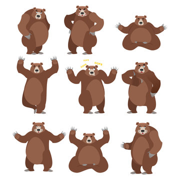 Bear set on white background. Grizzly various poses. Expression
