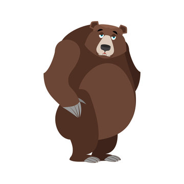 Sad bear. mournful Grizzly. tragic wild animal. Large forest bor
