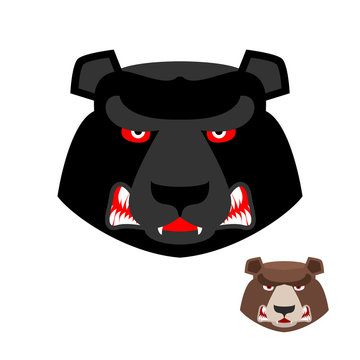 Angry bear head logo. Aggressive Grizzly on white background. Wi