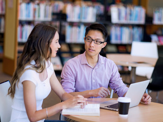 Two young students at the library