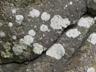 岩壁の背景素材