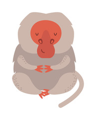 Cartoon monkey vector illustration. Monkey animal and jungle cartoon wild life. Monkey cute types cute primate isolated. Monkey zoo jumping chimpanzee mammal.