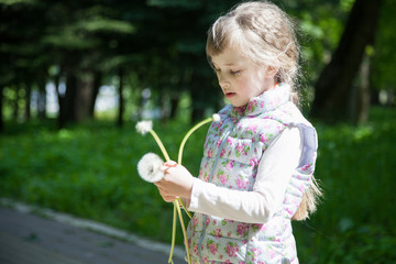 Pretty little girl holding dandelions