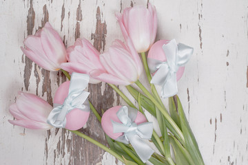 Pastel pink tulips 