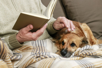 Old man sitting on the sofa with his lovely dog and book - obrazy, fototapety, plakaty