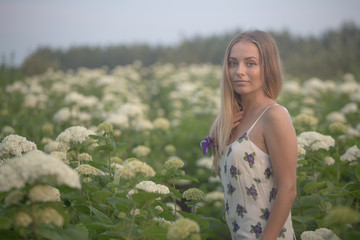 young beautiful woman in the warm rays of the evening sun walking on a green field with white flowers.