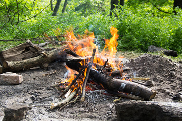 Bonfire in the forest.