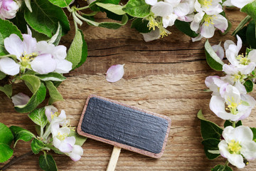 Fototapeta premium Blank blackboard label and flowering twigs of apple tree on wood