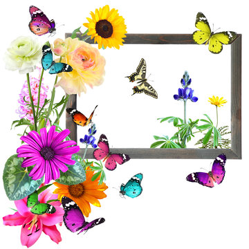 Colorful flowers and butterflies with blank wooden frame (copy space for photo, picture or text). Wildlife and art. Isolated on white