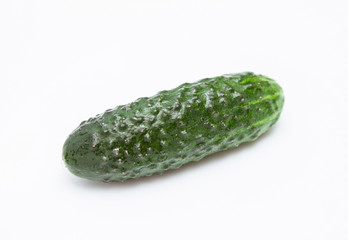 Fresh cucumber