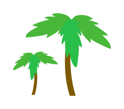 Green coconut palm icon isolated on white background. Palm icon isolated vector and green palm icon isolated. Isolated green summer tree plant nature and tropical palm isolated