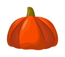 Autumn pumpkin vegetable design. Pumpkin oriental bittersweet vector illustration. Orange halloween pumpkin vegetable collection. Harvest symbol season decoration.