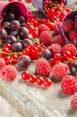 Seasonal ripe berries. Harvest. Red currants, raspberries and go