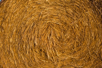 Hay stack texture