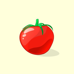 Ripe and delicious tomato. Vector illustration