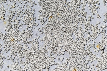 Texture, Background. Metal rusty painted plate