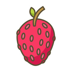 Strawberry with White Background