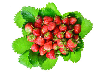 Fresht strawberry on leaf- Food Frame Background