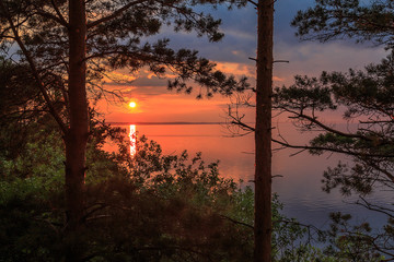 Sunset on the Volga River, the sun sets over the horizon, as seen from the shore between high pines