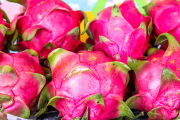 Obraz na płótnie Canvas Close up dragon fruit at the market for sell