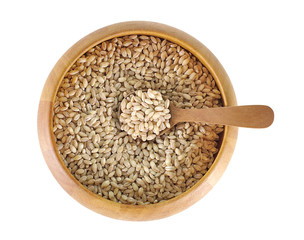 pearls barley grain seed on background