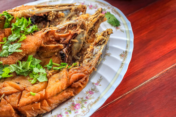 Close up Deep Fried Sea Bass With Fish Sauce (Pla Ga Pong Tod Nam Pla) in the plate decorate with coriander parsley leafs