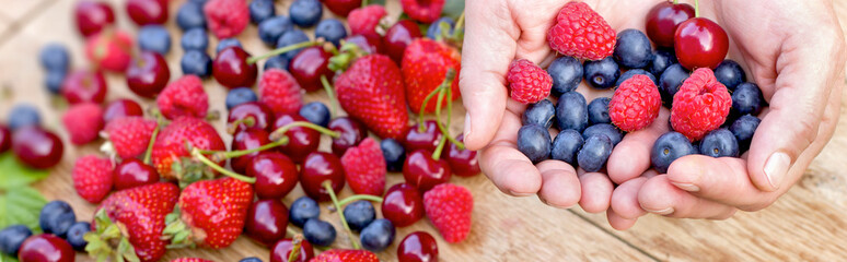 Hands full of healthy organic fruits - wild berries